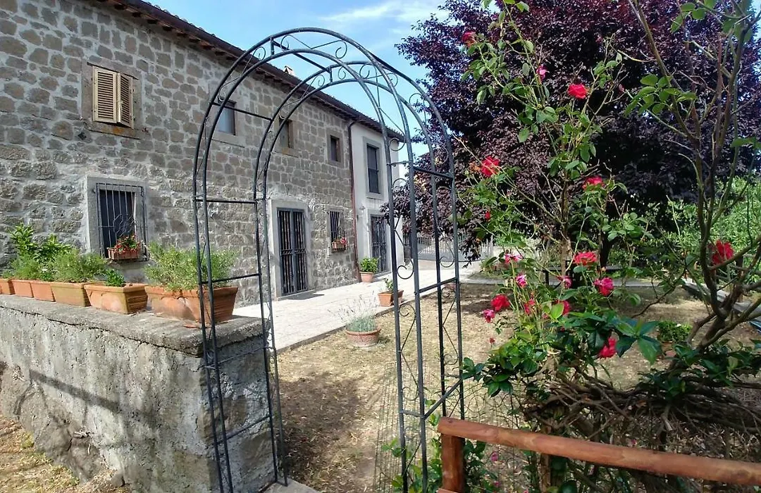 B&B Paternocchio-1